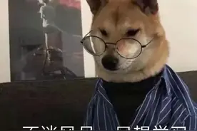 秋天，狗子咳嗽喷嚏打个不停，这是图片