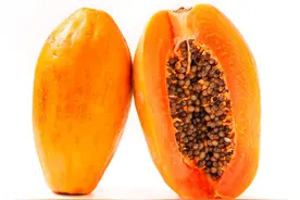 木瓜酒能丰胸么？木瓜酒怎么做？图片