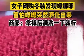 女子网购冬装，衣服上惊现蟑螂卵！商家：拿掉后清洗一下就行了图片