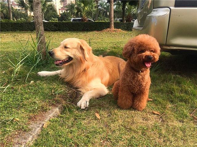 ҥëġůС𣿲ֻǶѺ