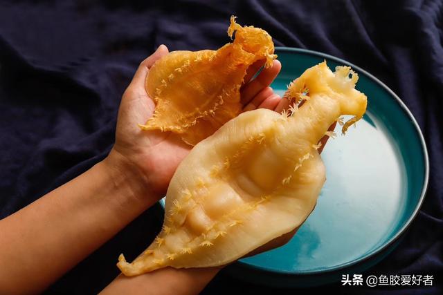 鱼胶如何食用方法 2025年鱼胶如何食用方法最好 鱼胶如何食用方法 2025年鱼胶如何食用方法最好