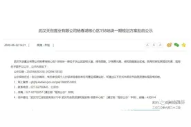 武昌三环内惊现巨无霸新盘！超百万方商业+名牌小学+地铁口图片