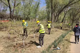 “金剪子”大赛在昌平这个地方召开，看有没有您喜欢的选手图片