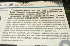 北京动物园游玩攻略图片