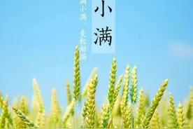 5月21号小满，这5句农谚俗语充满大智慧，指导农民搞好农业生产图片