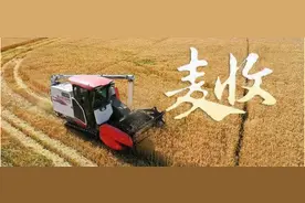 嘿老乡，该回家收麦子啦~别让麦场成火场图片