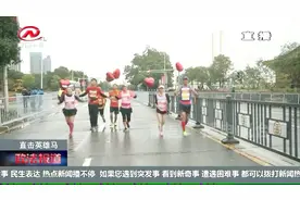 马拉松配速员是什么？这36名官方萌兔，稳定配速完美领跑！视频封面