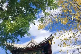 【FENG景】丰台金秋文化旅游季——中秋假期来北京园博园，美景、好玩根本停不下来！图片