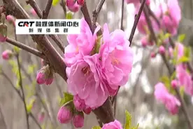 长春赏花看动物好去处 尽在动植物公园图片