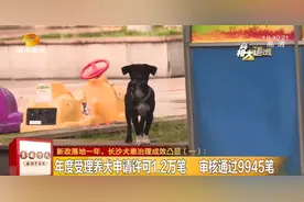 这些区域不能养狗，违者罚2千！下月起，长沙将进行犬只大摸底！还没给狗狗上牌的，赶紧图片