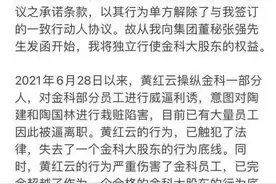 金科股份创始人前妻反目！股权大战酝酿中，背后还有三位大佬图片