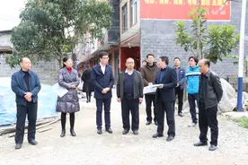 东兰调研粤桂协作推进“两高两道”沿线村容村貌示范带建设工作图片