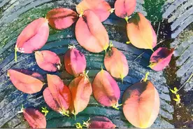 55岁男人爱上48岁女人，搭伙几个月就把对方赶走了，真痛快图片