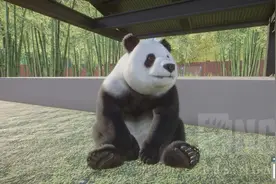 夏促模拟经营游戏推荐——《动物园之星》图片