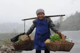 81岁老奶奶冒雨挑担卖菜，步行4公里只卖了7块钱，还收到过假钱图片