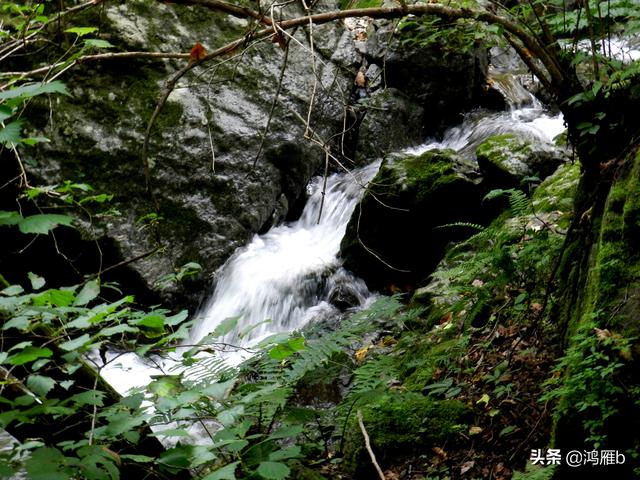重走抗联路——本溪关门山森林公园鸣翠谷景区抗联秘营