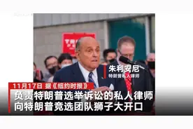 帮特朗普打官司一天赚多少？总统私人律师被曝狮子大开口要价2万美元图片
