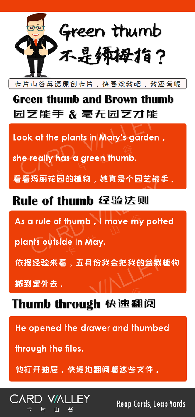 Green thumb可别以为是“绿色拇指”啊，而是一种才能