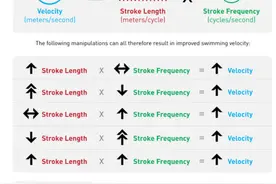 磨练你的游泳技能：从无到有图片
