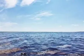 像鱼儿一样自由自在图片
