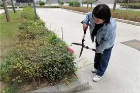 曾经“卖面救夫”闻名全国的新闻女主角，带女儿重组家庭，负责学校绿化维护工作，等孩子大了还想开面馆图片