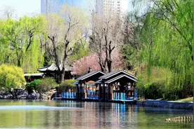 都下过雪了，怎么还没冬眠？北京紫竹院公园2米长大蛇还在晒太阳图片