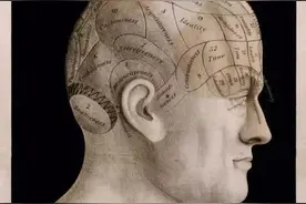 脑科学认知史｜所有的心理都发源于大脑，但大脑是探究人性的禁区图片