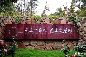 五一好去处！小编给你们盘点了一些旅游攻略，一起去溧水踏青吧！图片