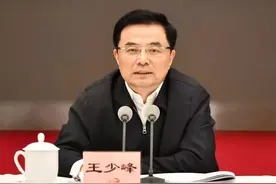 湖南省委常委、组织部部长王少峰，已任人社部副部长图片