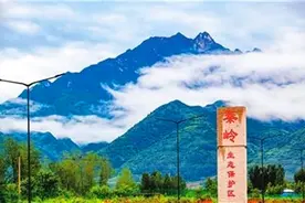 陕南，一半在陕西，一半在江南图片
