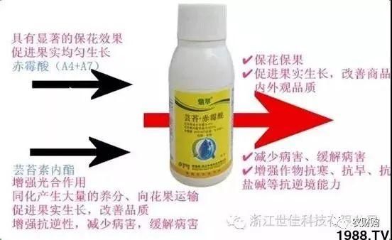 用对赤霉酸920，改善大小果，膨果快很多，不粗皮产量高
