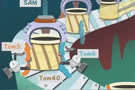 Science：快看！科学家把线粒体工厂“暂停”了图片