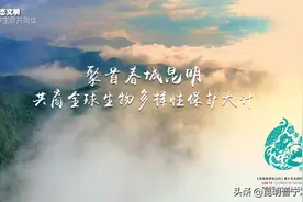「通告」昆明市晋宁区人民政府 关于对晋城、宝峰、二街片区实行居民生活 用水阶梯价格管理工作的通告图片