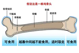 猫为啥要吃骨头？猫吃骨头会受伤吗？解锁给猫喂食骨头的正确方法图片