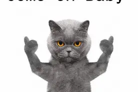 这家店刚登陆白土坝就火了！「来烤吧」带你玩转烤串社交新模式图片