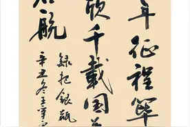武山县书法家协会庆祝十九届六中全会胜利召开暨庆祝中国共产党诞辰一百周年书法篆刻作品云展(第六十期)图片