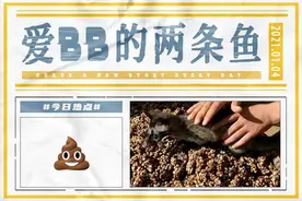为什么你拉完屎后，总要回头看一眼？图片