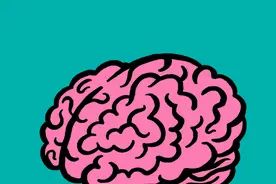 brain fart是“大脑放屁”？别想了，这事儿你天天在干哈哈哈哈图片