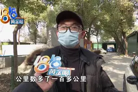 “阿里拍卖”拍下“迷你”，车况与实际不符？图片
