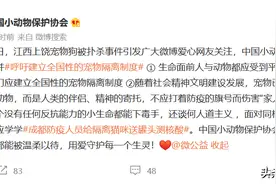 中国小动物保护协会吁建宠物隔离制度：不应打着防疫旗号去伤害图片