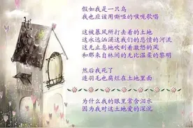 《你是我永远的情人》（原创文）图片