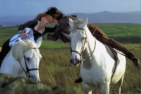 名著金句捞，《呼啸山庄》10大经典句子，没准生活中还能用上图片