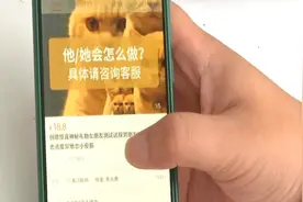 真爱鉴定只需28元？图片