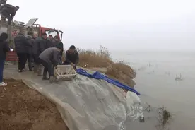 300万尾鱼苗“安家”岳城水库图片