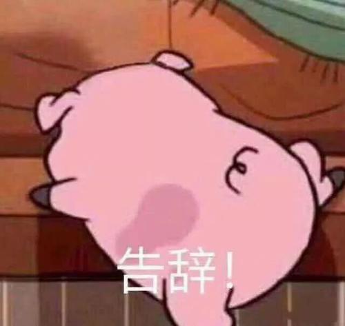 氨基酸洗面奶大揭秘！不要再被骗了，真正的氨基酸洗面奶是它们？