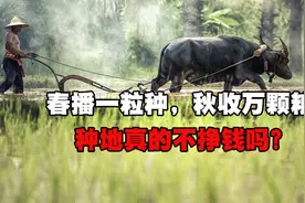 一粒种子半斤粮，种地真的不挣钱吗？图片