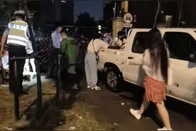 上海百余宠物盲盒被遗弃路边，快递不敢派送，但部分宠物已死亡，后续来了图片