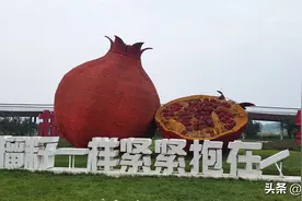青山，花海，绿地，这就是最适合石家庄人周末晨跑的水果主题公园图片