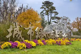 北京副中心又一公园走红 占地比颐和园大三倍 城市绿心森林公园图片