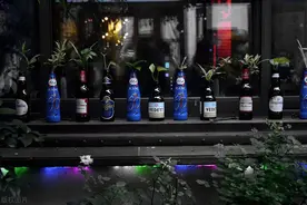 入门口感精酿啤酒推荐图片